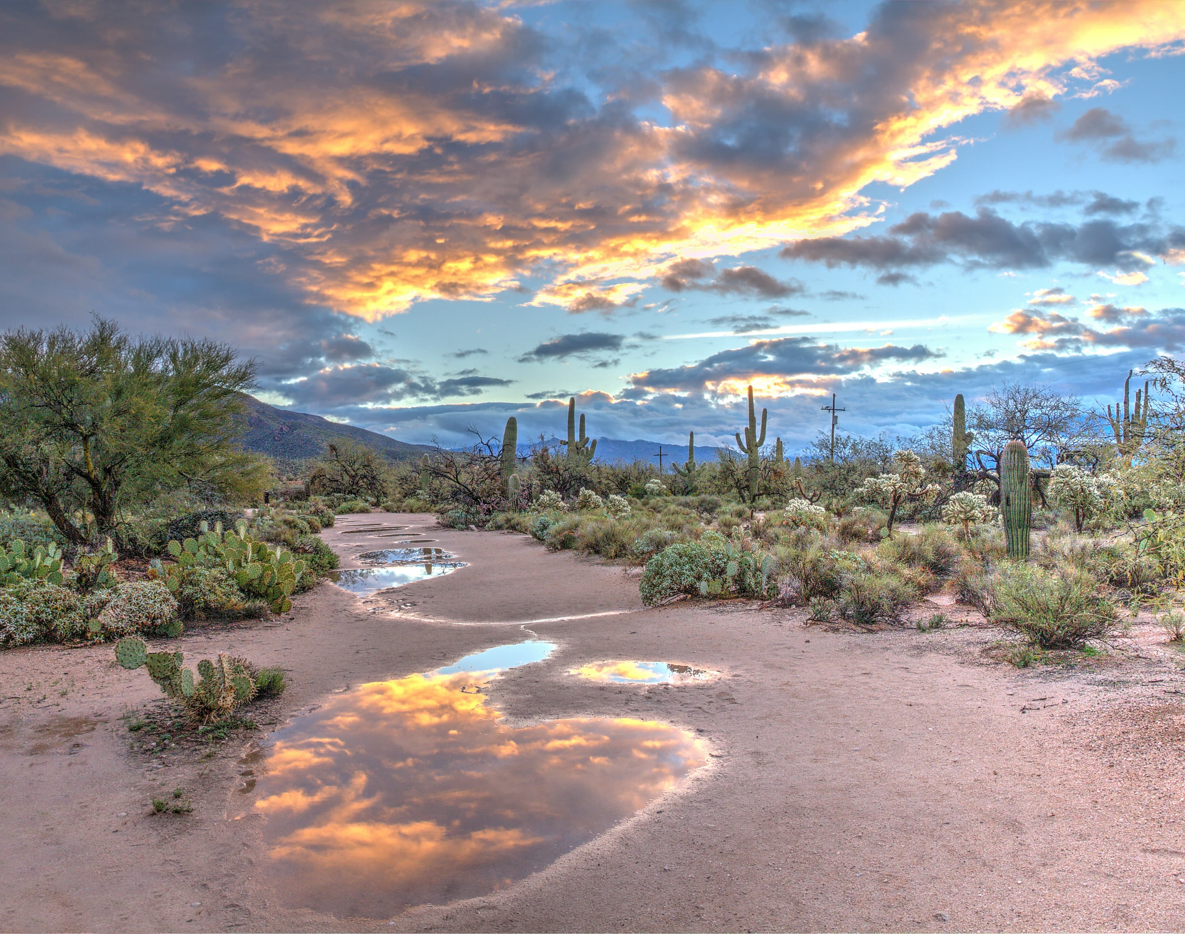 Arizona sunset